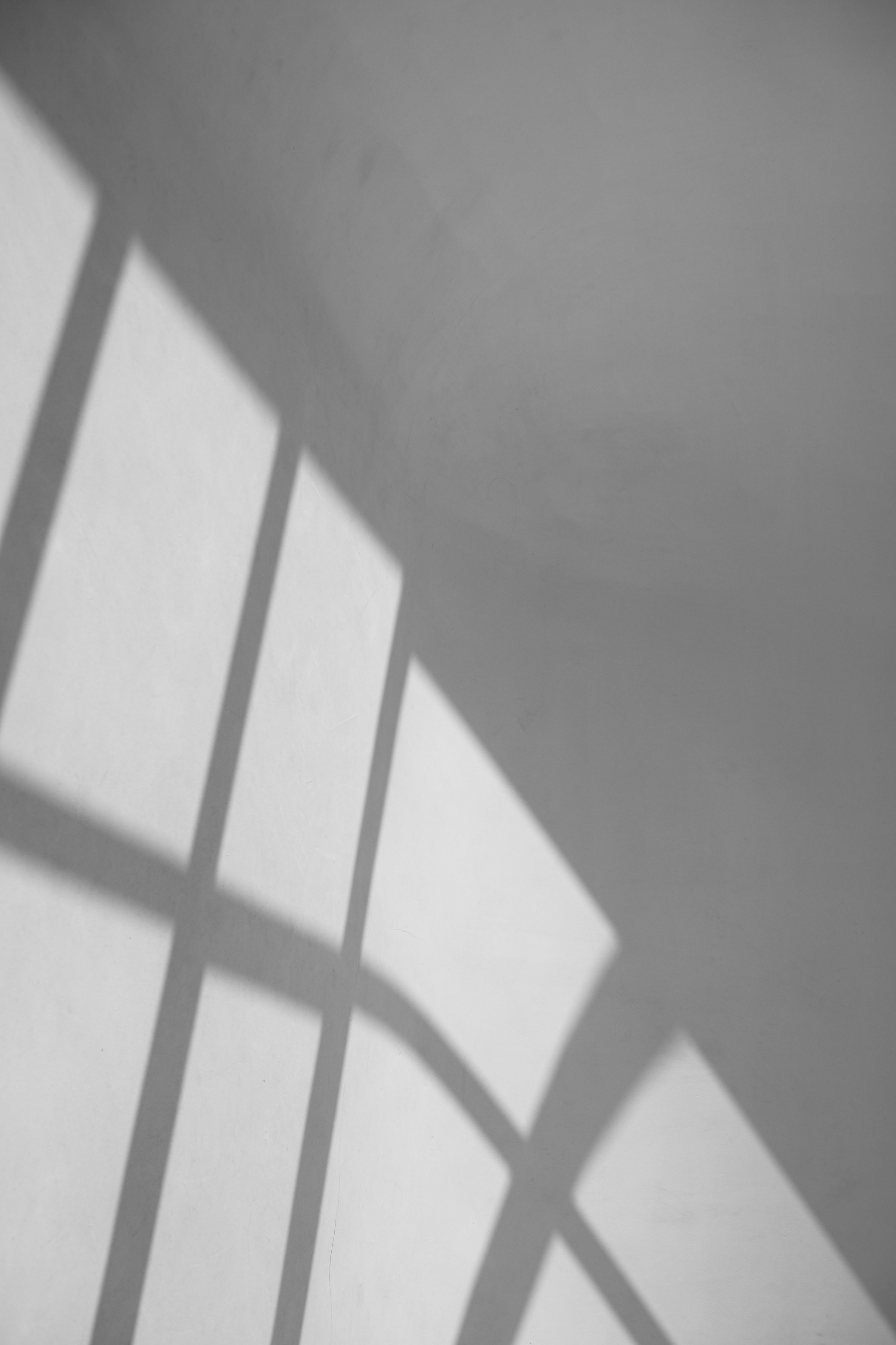 Shadow of Leaves on a Wall